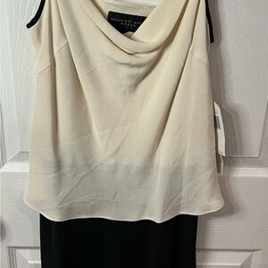 Cream and Black  Dress